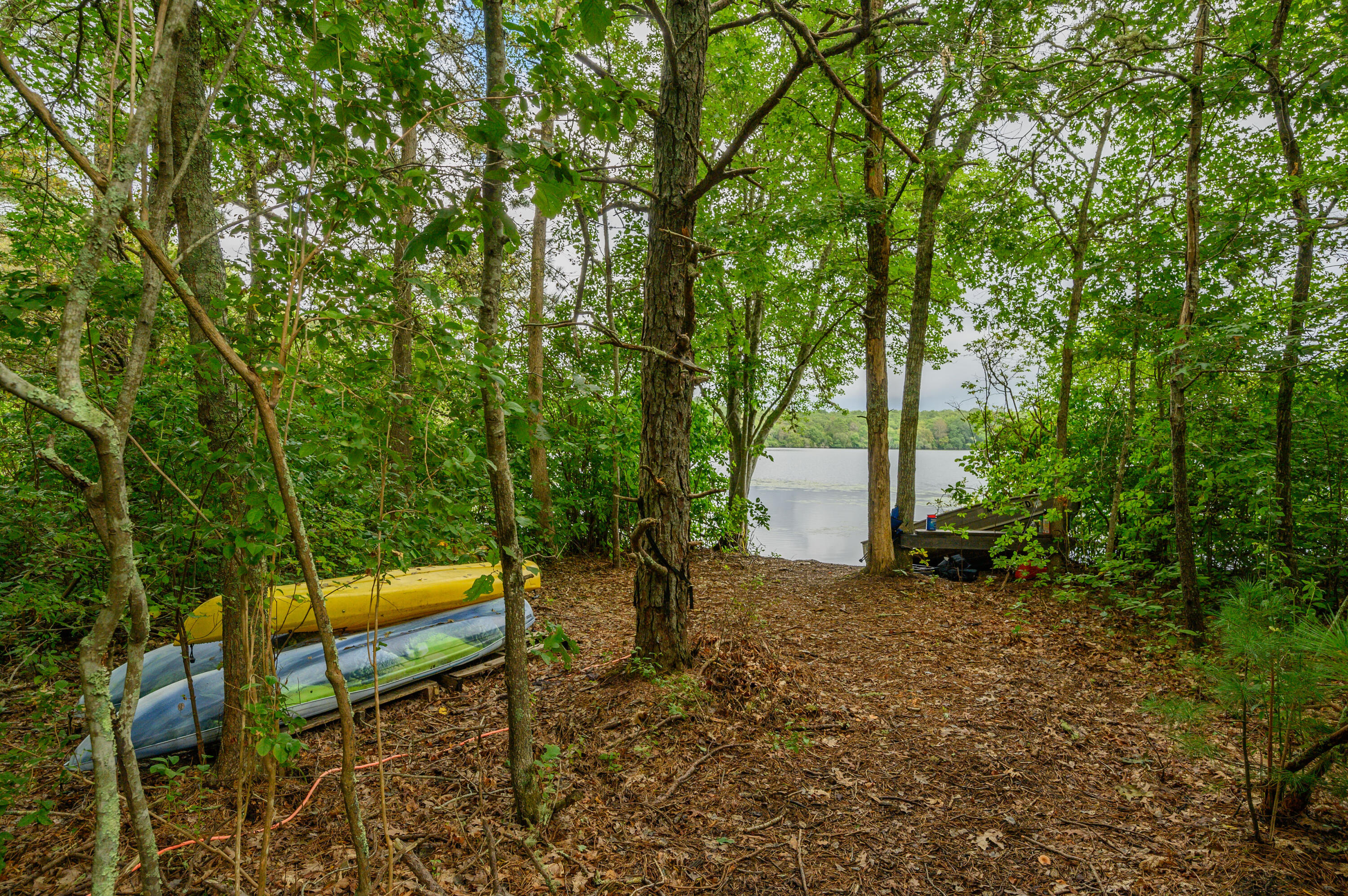 4 Santuit Lane Mashpee, MA 02649 - Photo 4 of 36 a backyard of a house with lots of green space