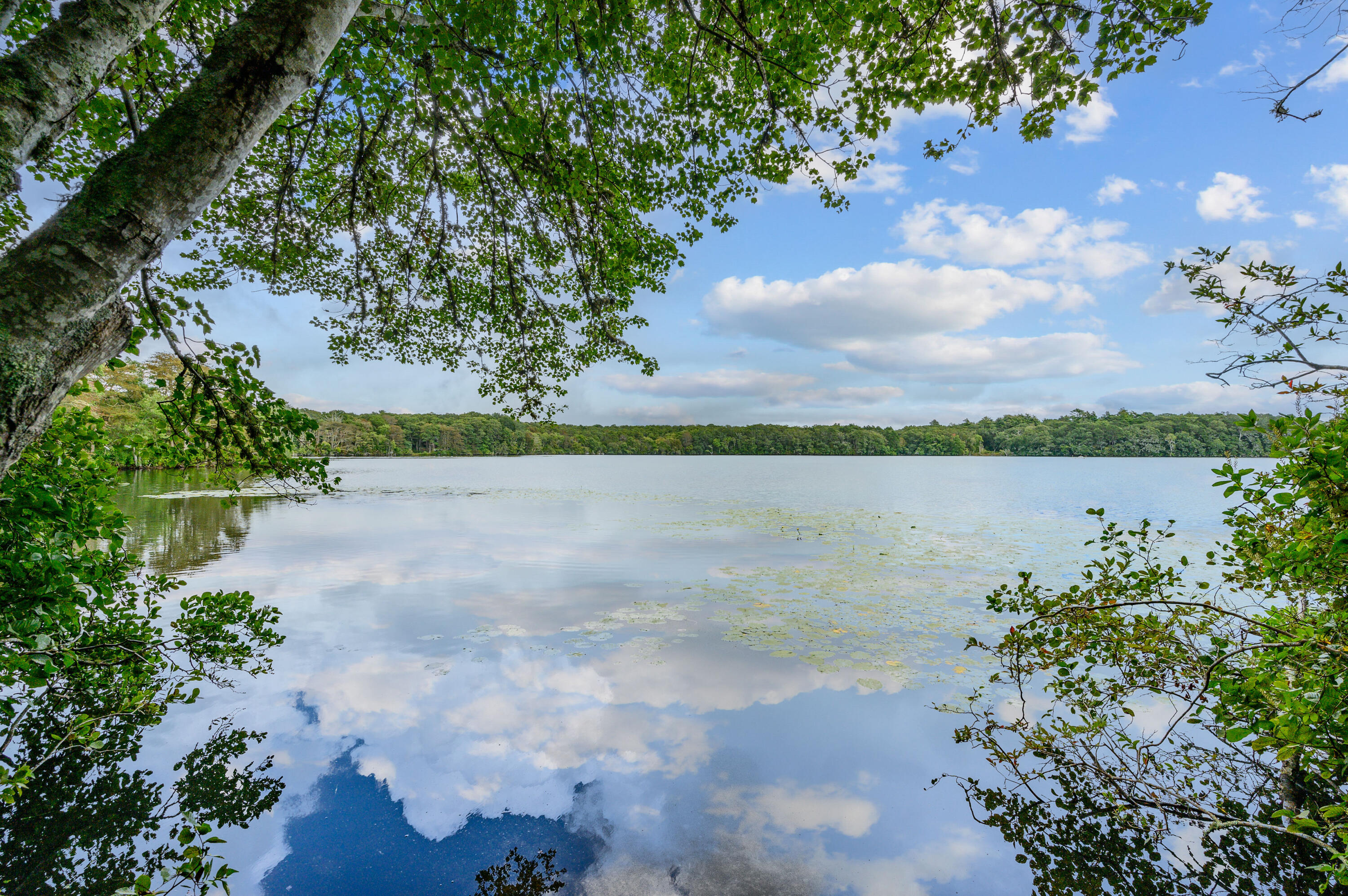 4 Santuit Lane Mashpee, MA 02649 - Photo 6 of 36 a view of a lake with outdoor space