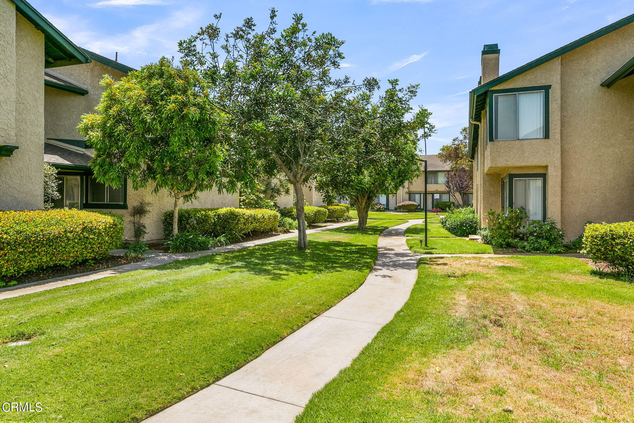 5317 Perkins Road Oxnard, CA 93033 - Photo 6 of 10 a view of a house with a big yard potted plants and large tree