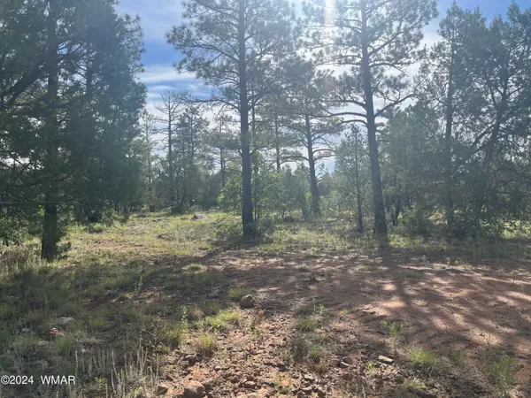 $79,900 | 5509 Red Squirrel Lane, Lakeside, AZ 85929