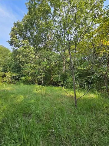 $25,500 | 234 Lincoln Rose Drive, Noble, LA 71462