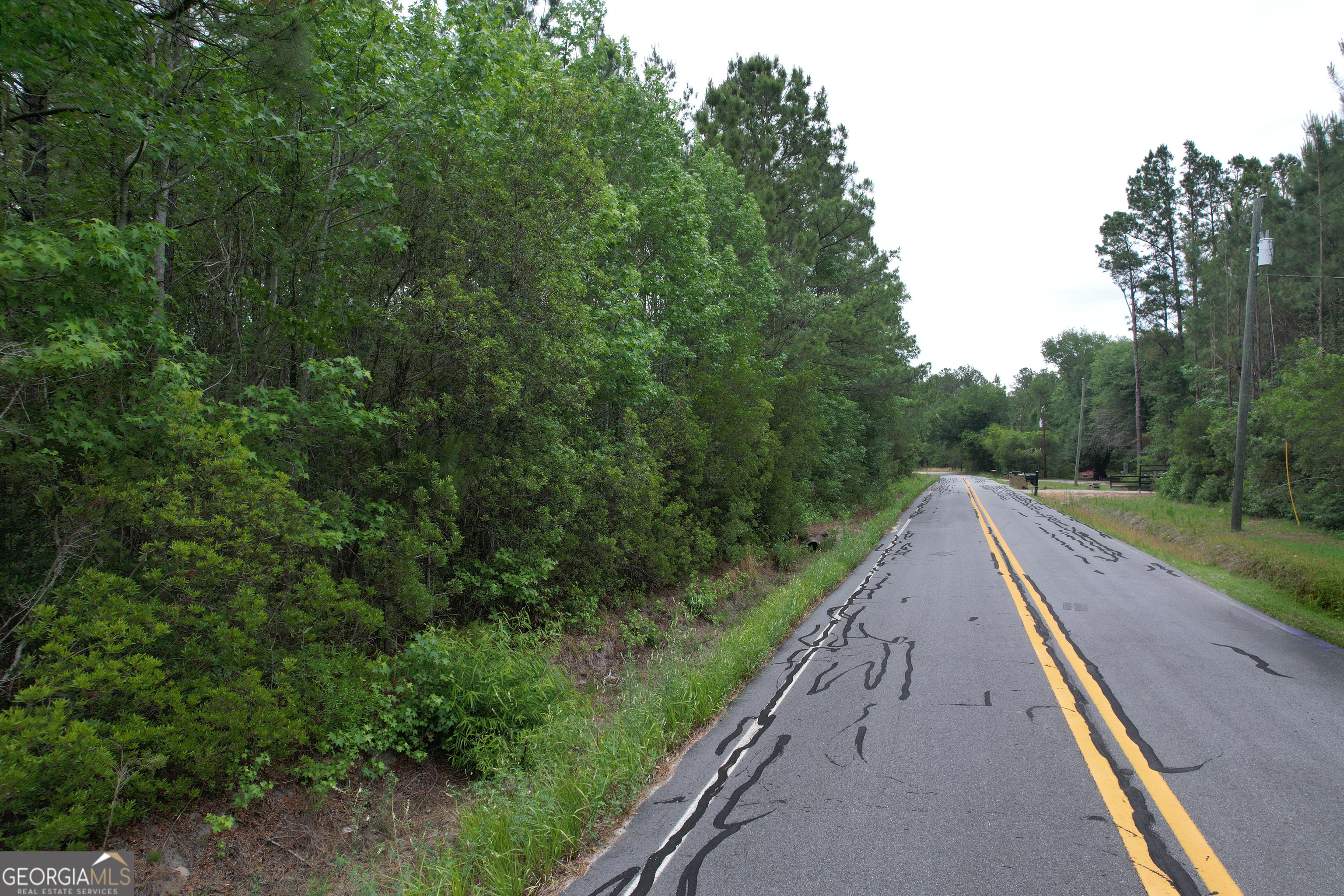 1.5-acres Mt Pleasant Road Clyo, GA 31303 - Photo 17 of 19