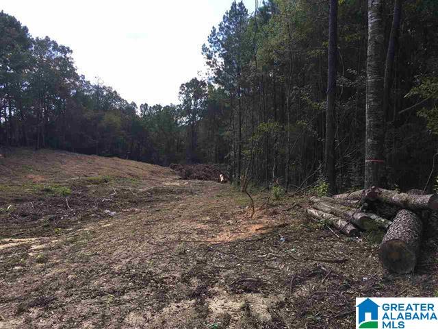 2755 Happy Top Road, Unit 4 Morris, AL 35116 - Photo 2 of 6