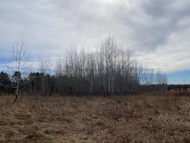 39 St Monticello Twp Mn 55362 Monticello, MN 55362 - Photo 26 of 43