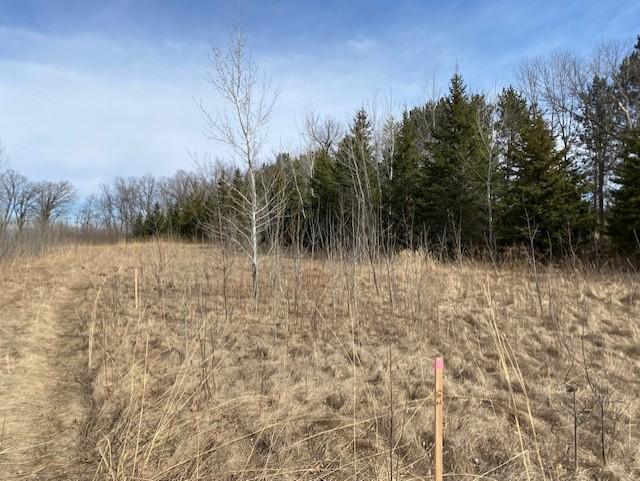 39 St Monticello Twp Mn 55362 Monticello, MN 55362 - Photo 33 of 43