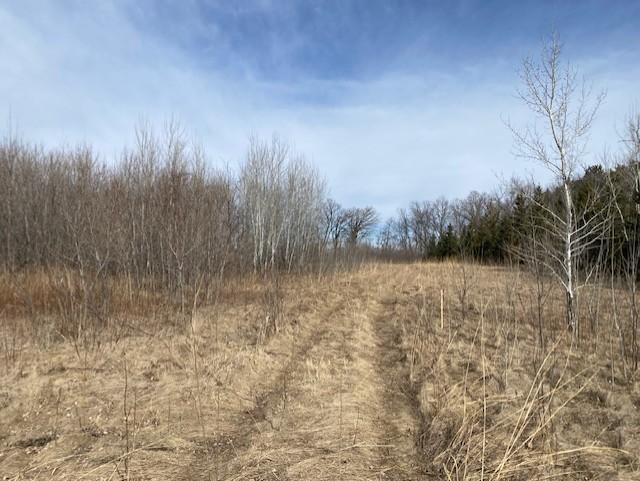 39 St Monticello Twp Mn 55362 Monticello, MN 55362 - Photo 34 of 43