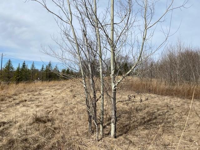 39 St Monticello Twp Mn 55362 Monticello, MN 55362 - Photo 35 of 43