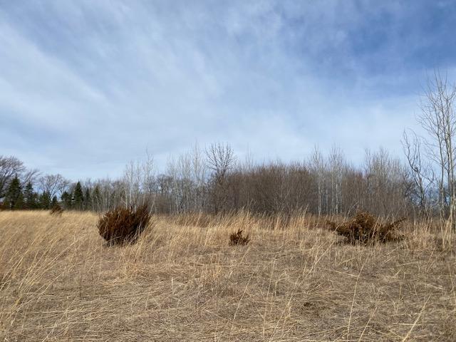 39 St Monticello Twp Mn 55362 Monticello, MN 55362 - Photo 36 of 43