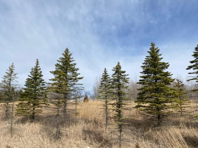 39 St Monticello Twp Mn 55362 Monticello, MN 55362 - Photo 38 of 43