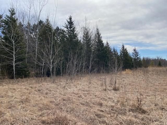 39 St Monticello Twp Mn 55362 Monticello, MN 55362 - Photo 40 of 43