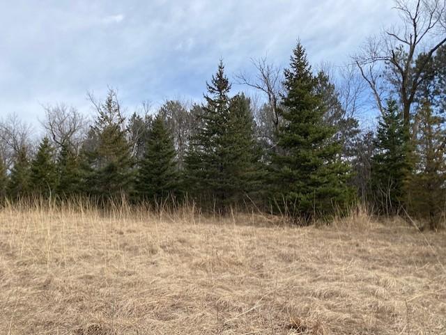 39 St Monticello Twp Mn 55362 Monticello, MN 55362 - Photo 41 of 43