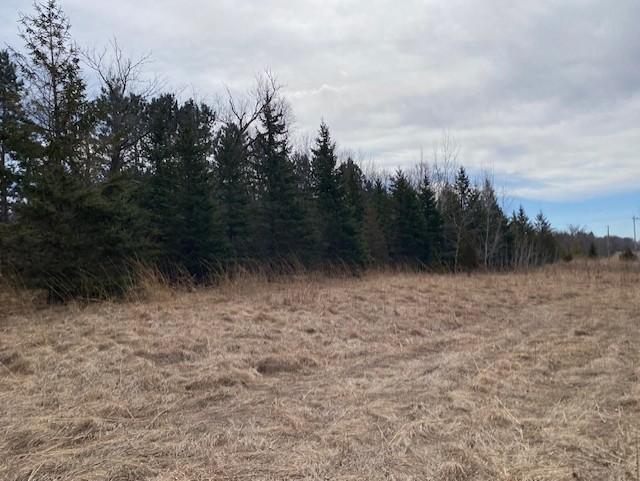 39 St Monticello Twp Mn 55362 Monticello, MN 55362 - Photo 42 of 43