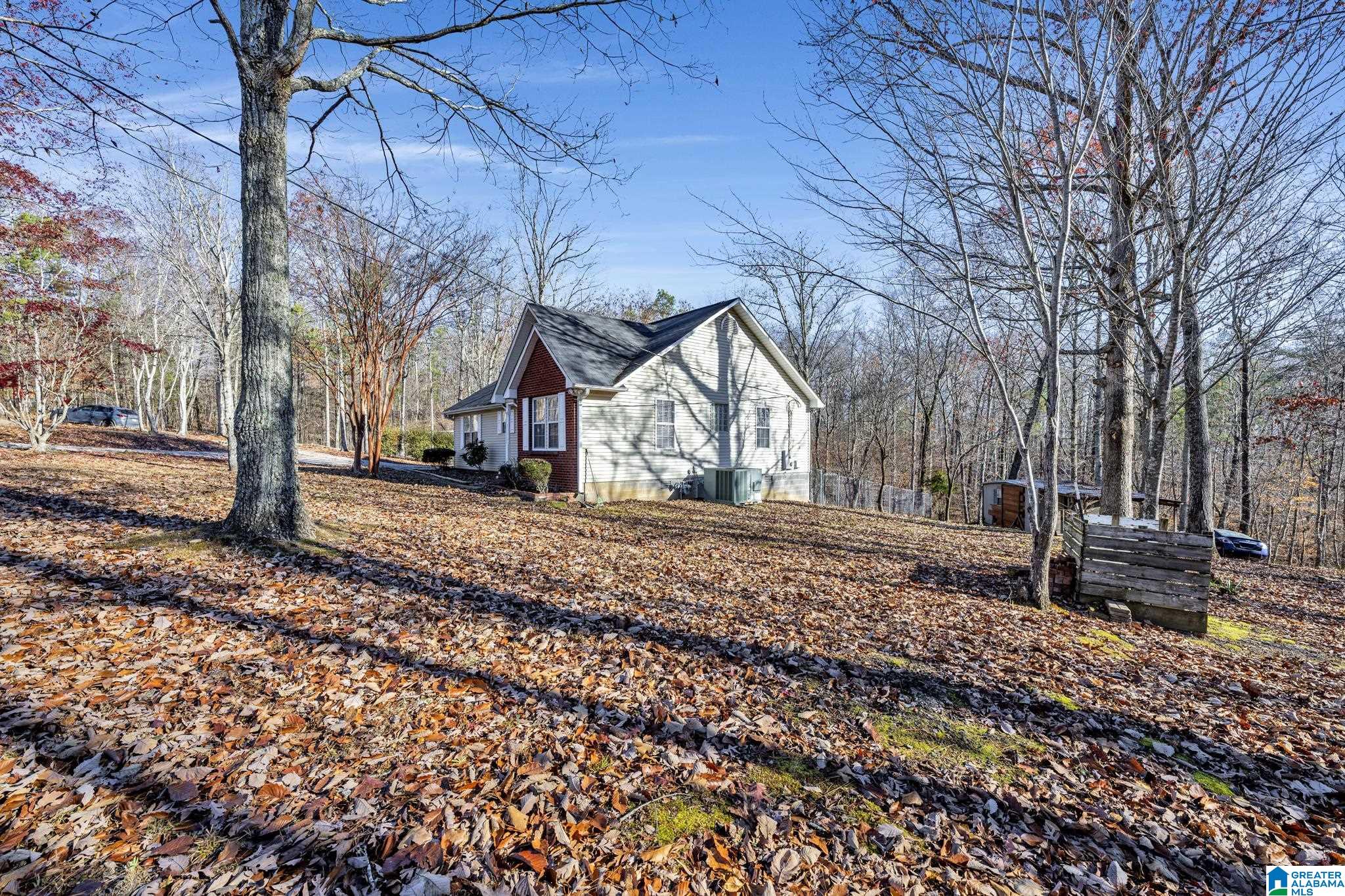 8711 Pine Mountain Road Pinson, AL 35126 - Photo 4 of 29