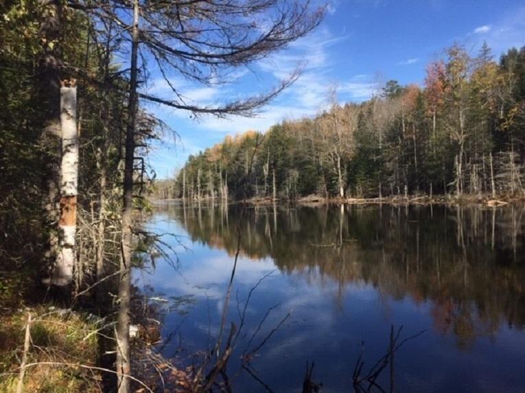 201 Stovepipe Alley Road Monroe, ME 04951 - Photo 20 of 20 Pond