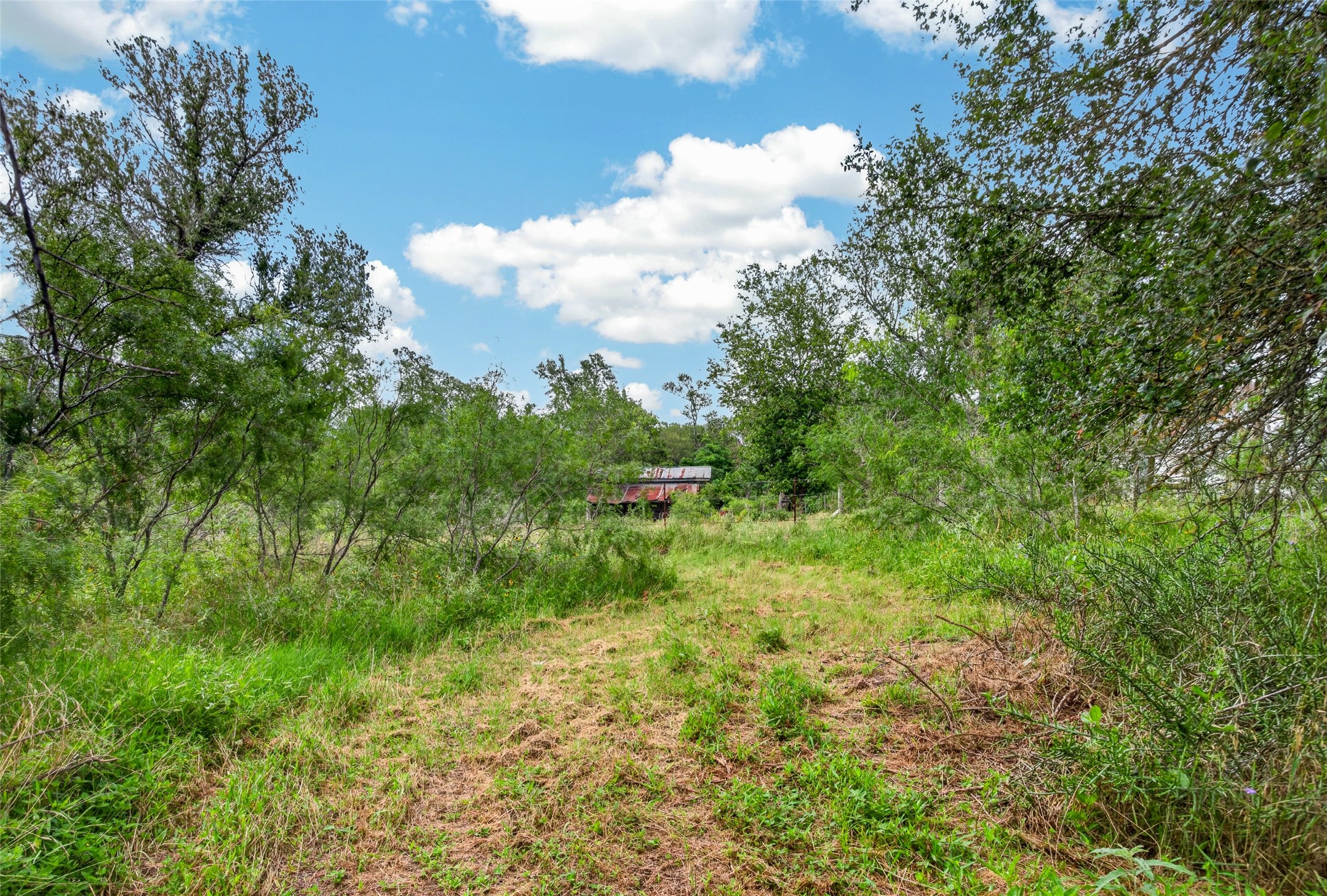 266 Beaver Road Elgin, TX 78621 - Photo 33 of 40 Another generous cleared homesite with room for a future cabin, tiny home, RV, workshop, or additional structures.