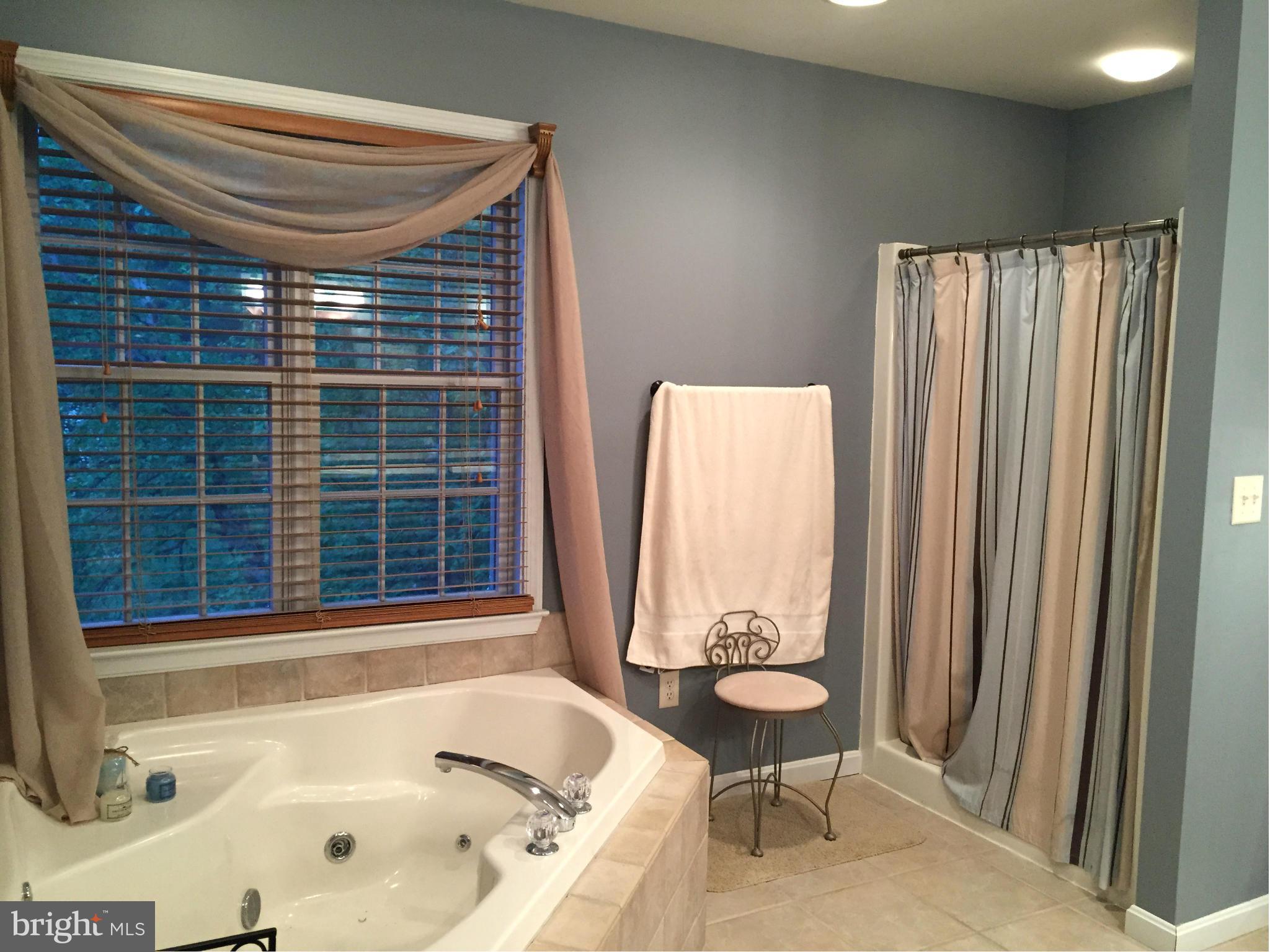 11984 Homestead View Road Worton, MD 21678 - Photo 15 of 26 Bath (Master)