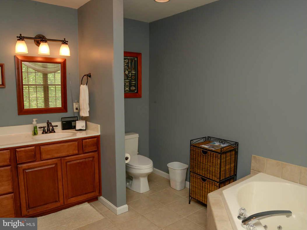 11984 Homestead View Road Worton, MD 21678 - Photo 16 of 26 Bath (Master)