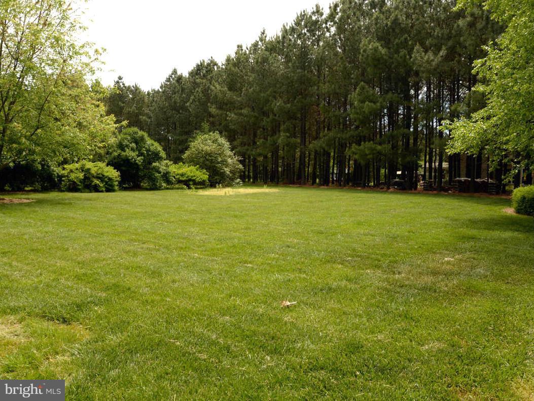 11984 Homestead View Road Worton, MD 21678 - Photo 23 of 26 Exterior (Rear)