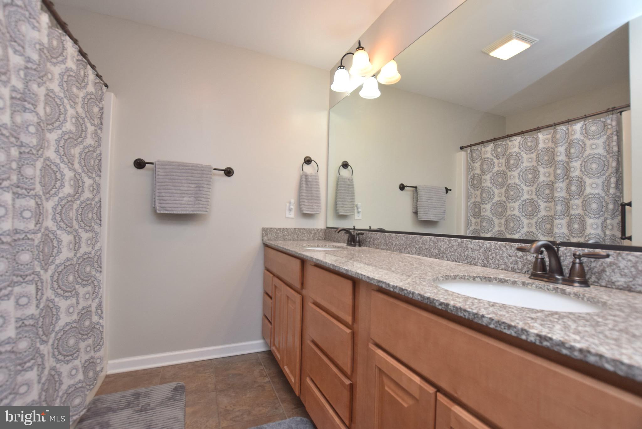 239 Lower View Road Strasburg, VA 22657 - Photo 10 of 19 Primary Bathroom