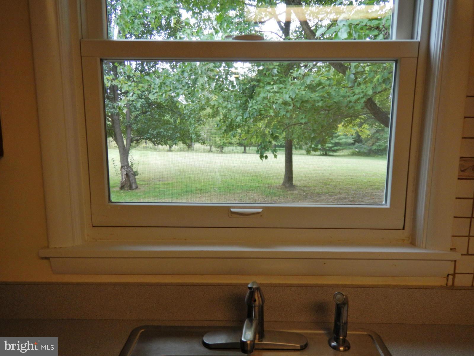 11707 Chapman Road Kingsville, MD 21087 - Photo 16 of 30 View of Back Yard From Kitchen Sink