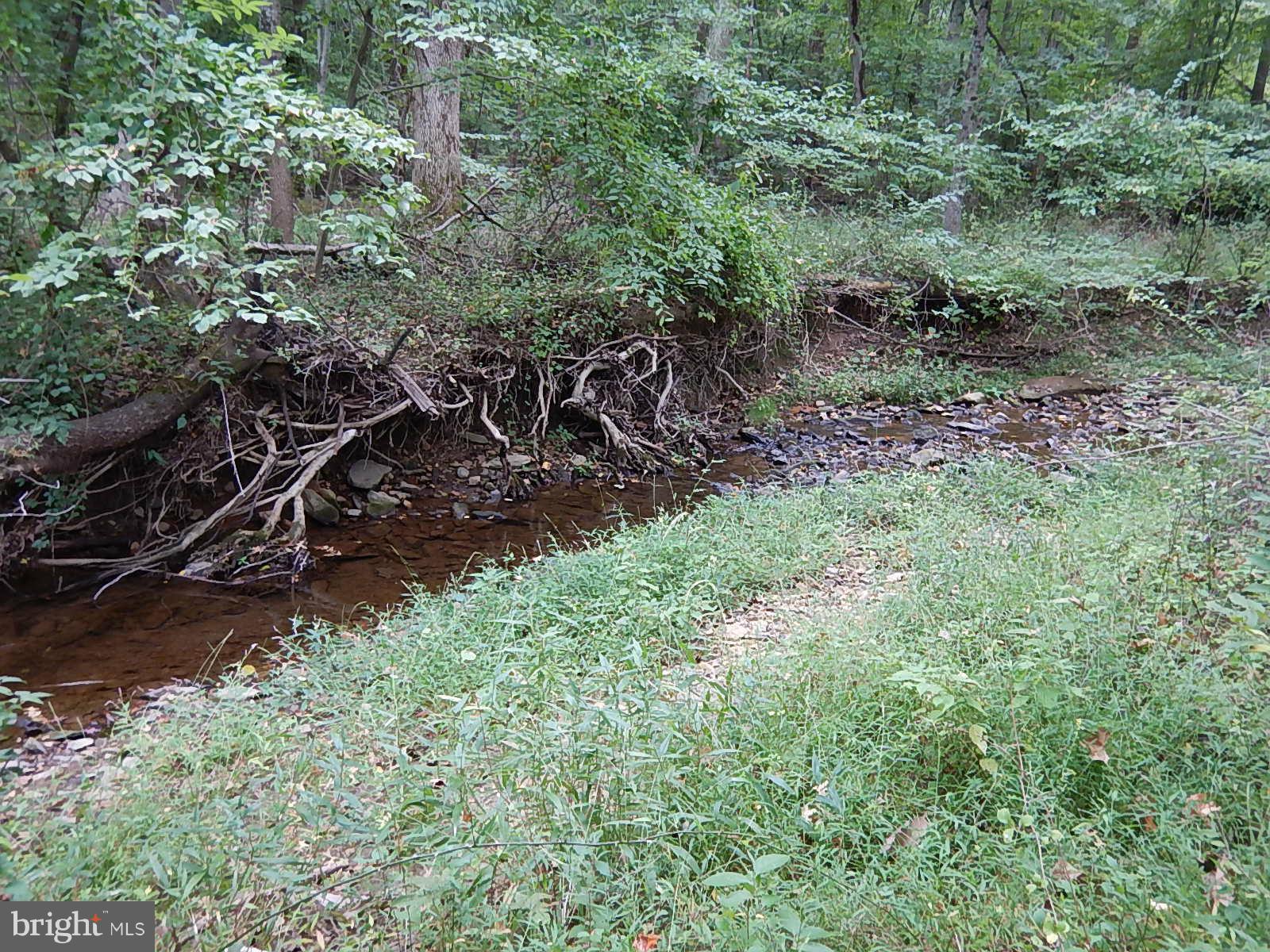 Small Stream