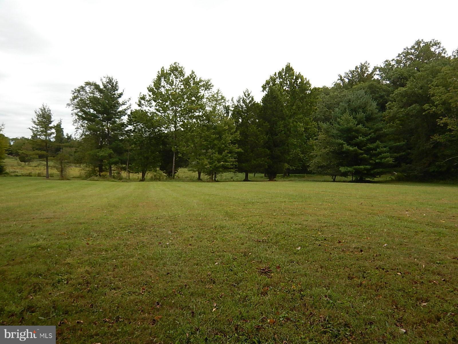11707 Chapman Road Kingsville, MD 21087 - Photo 9 of 30 Exterior (Rear), Great Yard