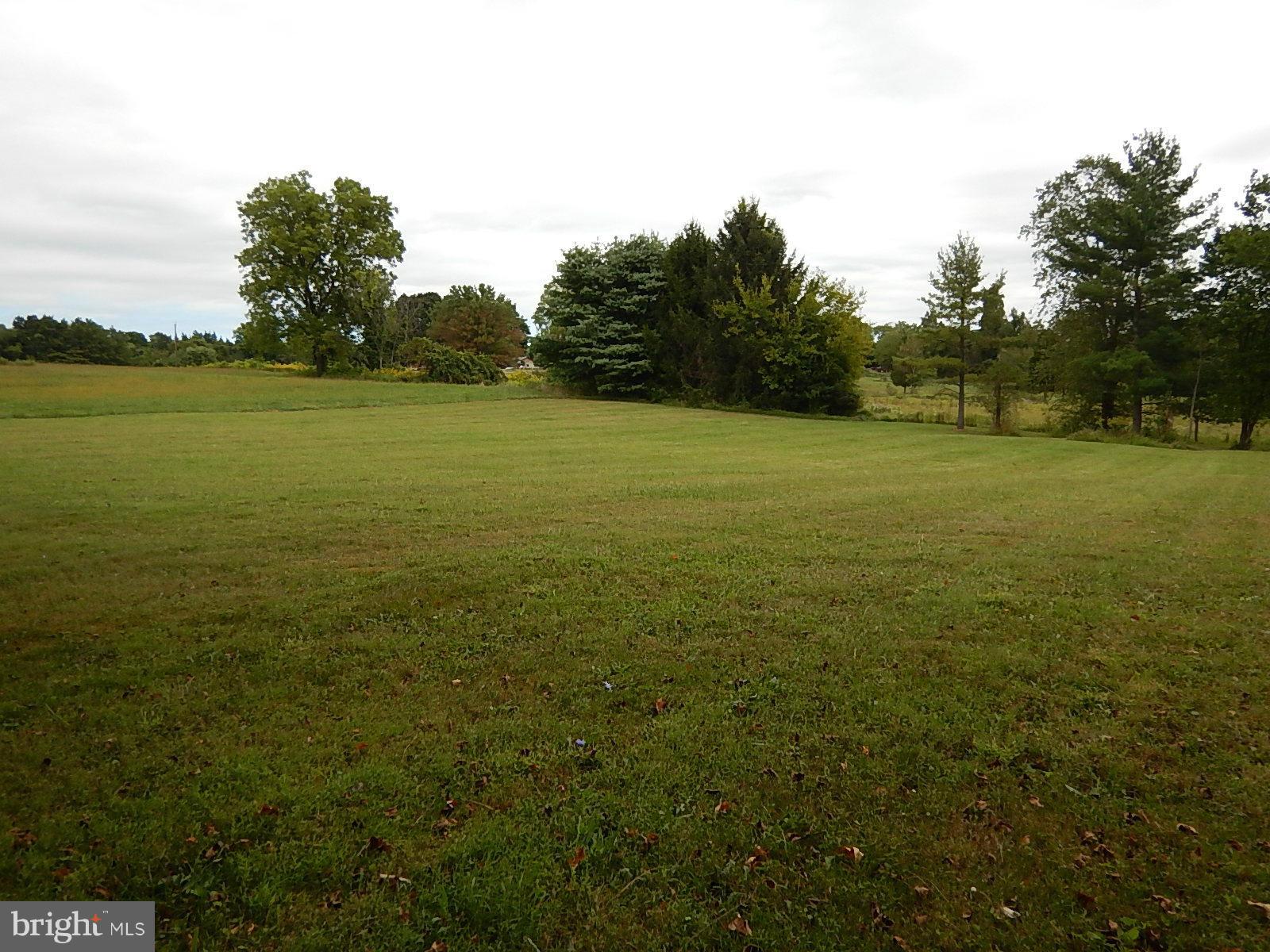 11707 Chapman Road Kingsville, MD 21087 - Photo 10 of 30 Exterior (Rear), Great Yard