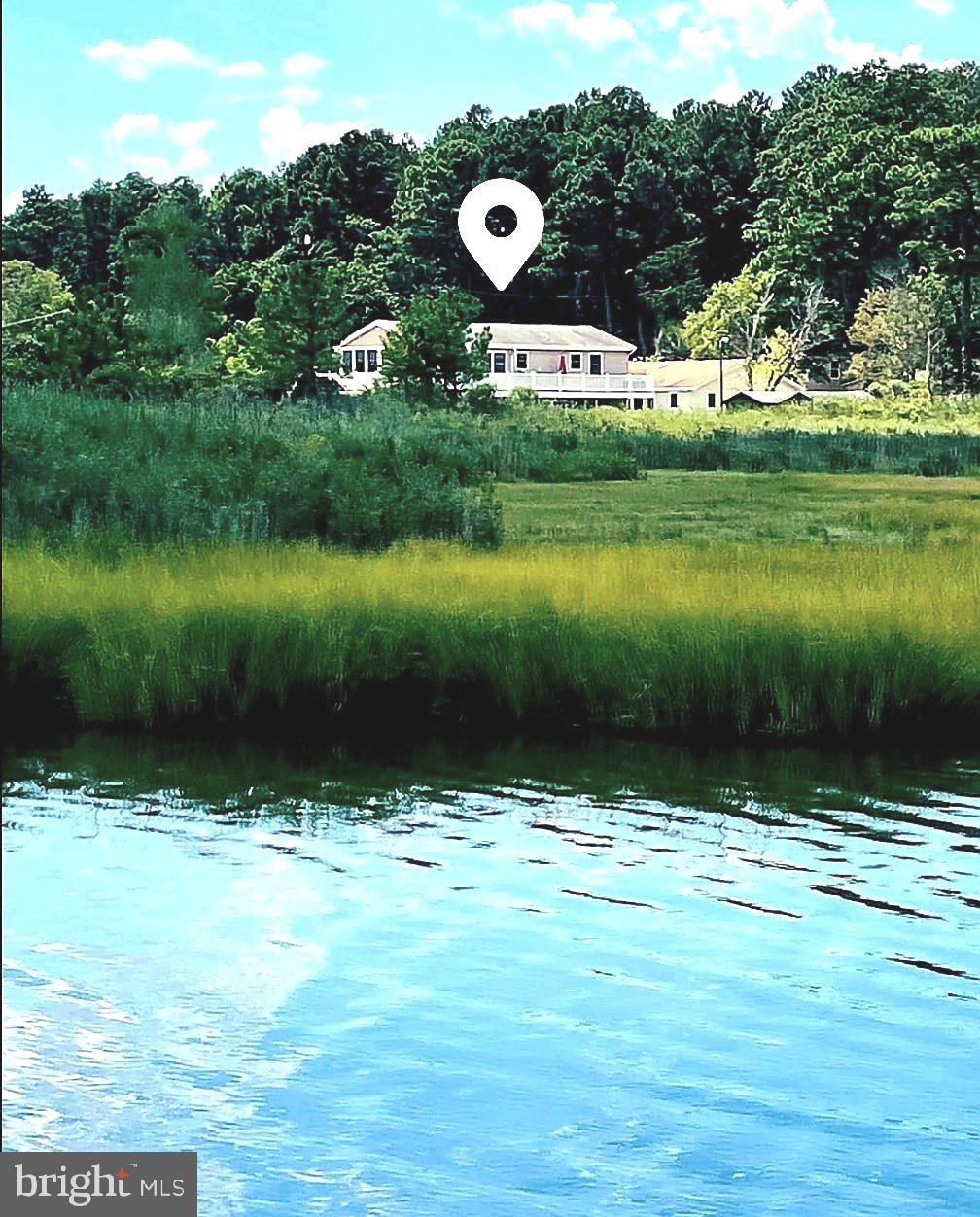 28236 Basin Road Millsboro, DE 19966 - Photo 3 of 42 View from Emily Gut