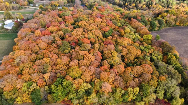 $349,900 | 11275 66th Street, Waconia, MN 55387