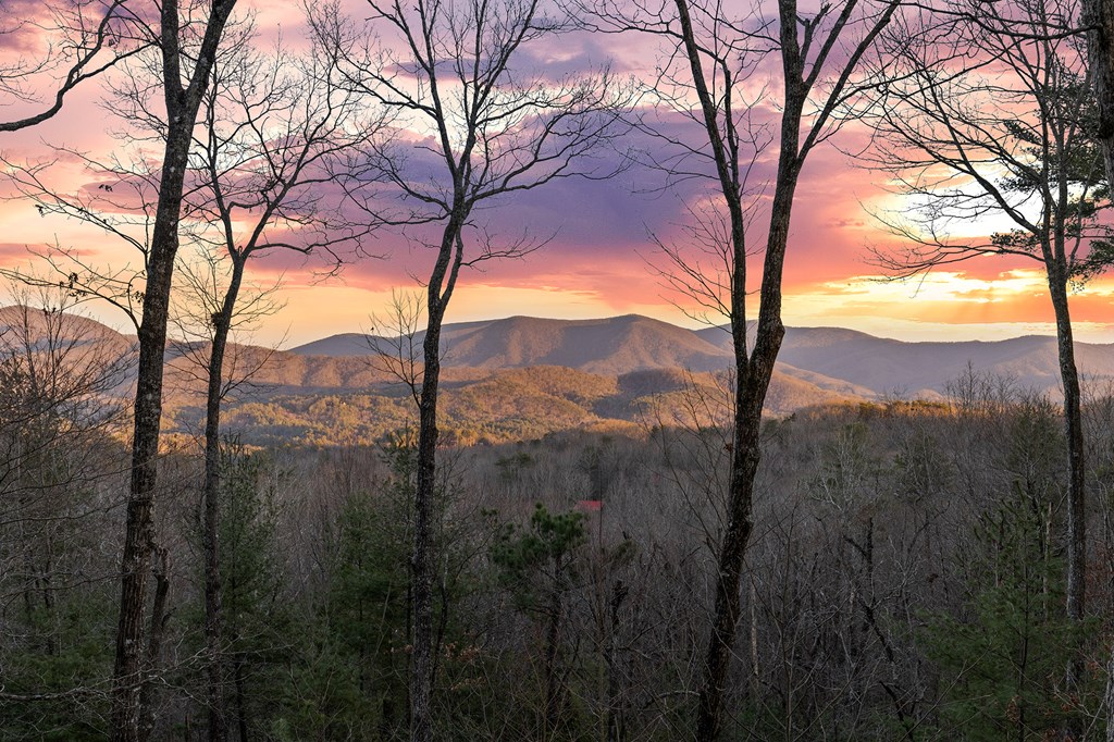 0 Broken Arrow Path Blue Ridge, GA 30513 - Photo 11 of 30 a view of mountain view with lots of trees