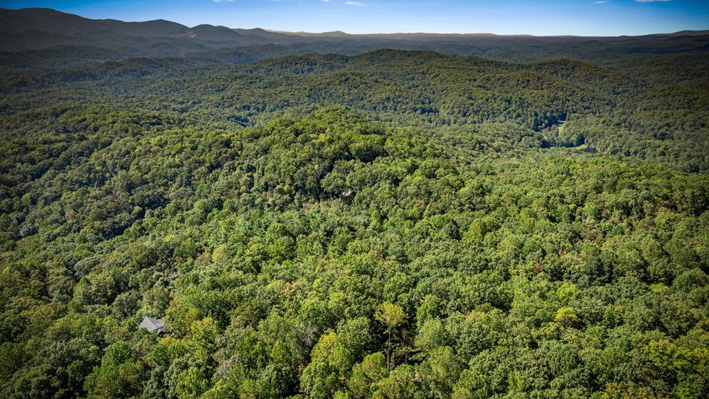 0 Broken Arrow Path Blue Ridge, GA 30513 - Photo 12 of 30 a view of a lush green forest with lush green forest