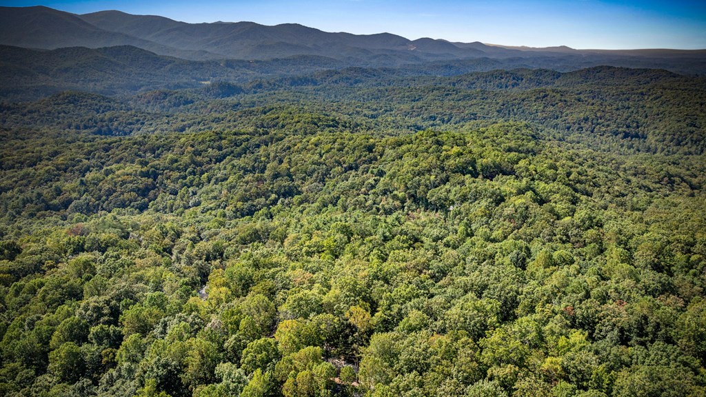 0 Broken Arrow Path Blue Ridge, GA 30513 - Photo 14 of 30 a view of a lush green hillside and a mountain