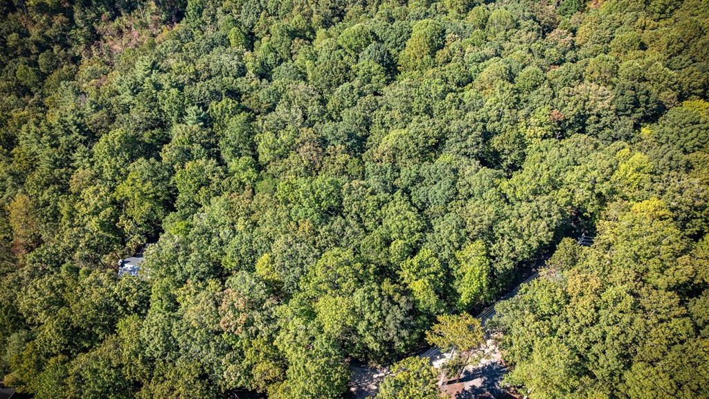 0 Broken Arrow Path Blue Ridge, GA 30513 - Photo 15 of 30 a view of a lush green forest