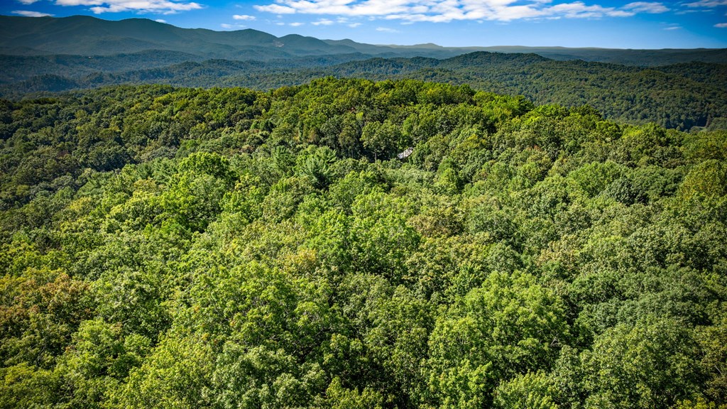 0 Broken Arrow Path Blue Ridge, GA 30513 - Photo 19 of 30 a view of a lush green forest with a mountain