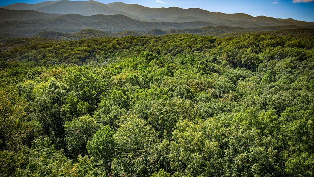 0 Broken Arrow Path Blue Ridge, GA 30513 - Photo 20 of 30 a view of a lush green hillside and a mountain