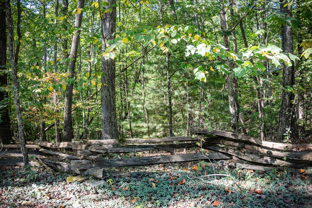 0 Broken Arrow Path Blue Ridge, GA 30513 - Photo 24 of 30 a view of backyard with green space