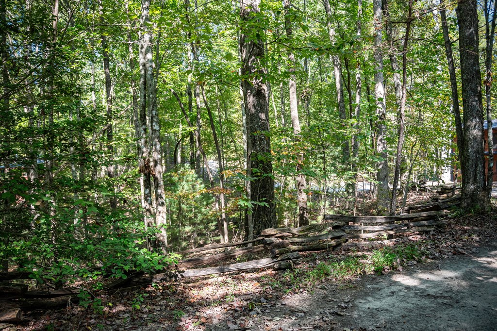 0 Broken Arrow Path Blue Ridge, GA 30513 - Photo 25 of 30 a view of forest