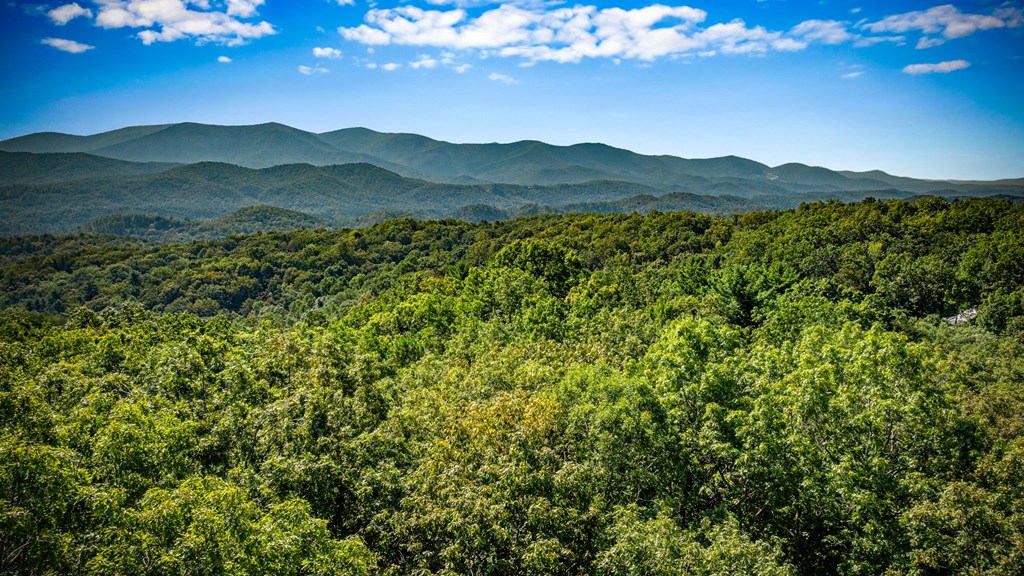 0 Broken Arrow Path Blue Ridge, GA 30513 - Photo 9 of 30 a view of a mountain range with lush green forest