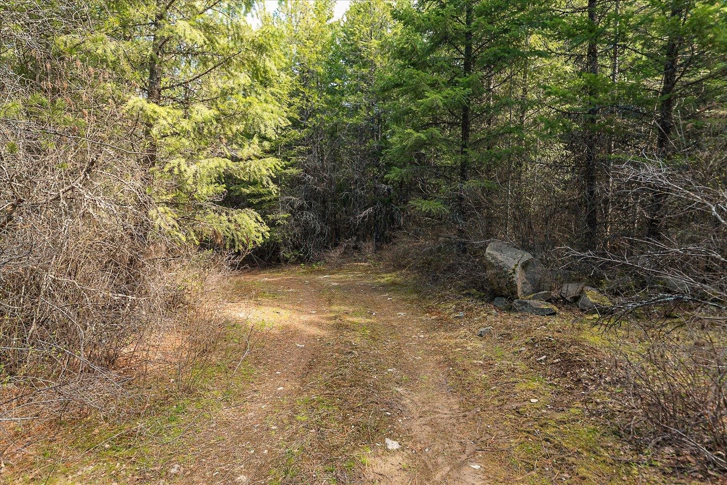 963 Thompson Road Elk, WA 99009 - Photo 12 of 30 Gallery Image 12