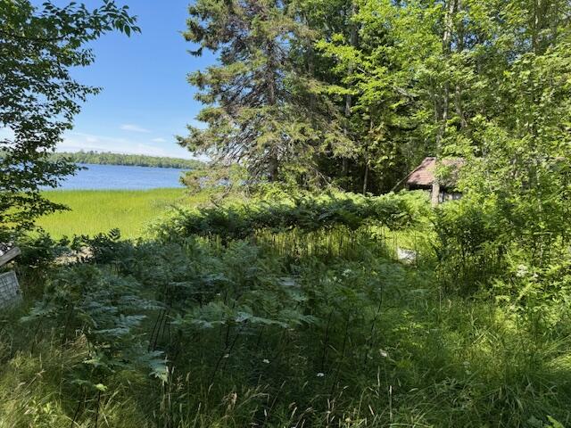 47 Tranquility Lane Perry, ME 04667 - Photo 48 of 82