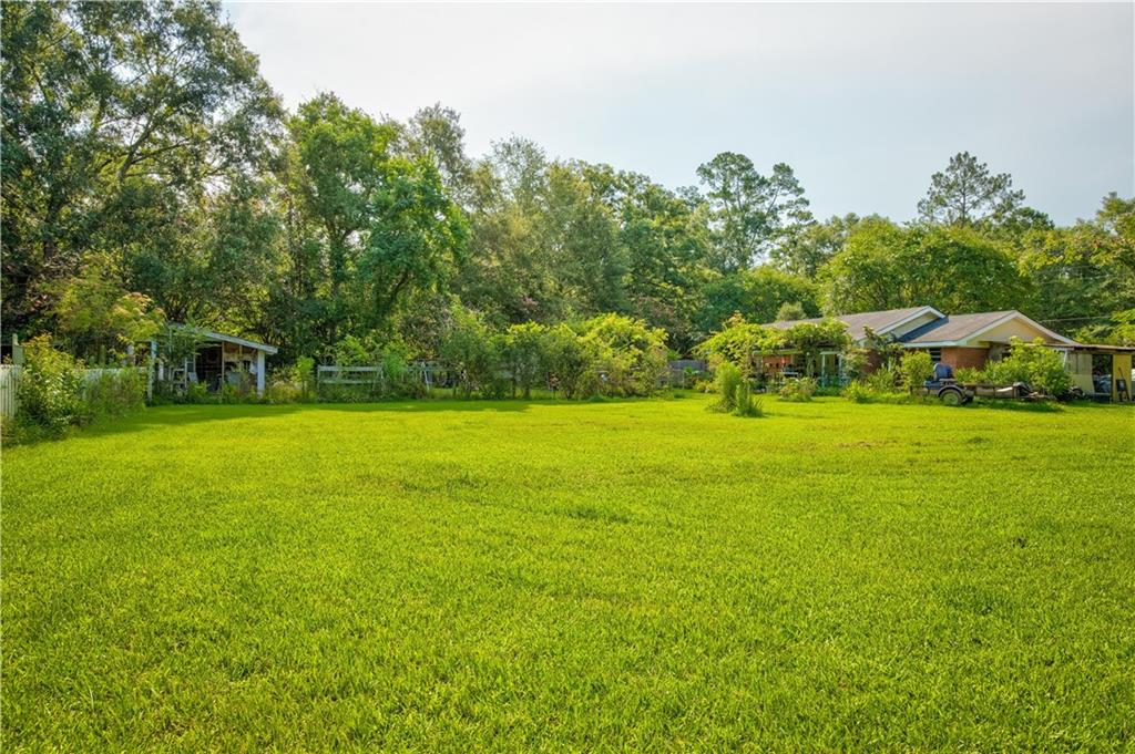 11757 Tantela Ranch Road Folsom, LA 70437 - Photo 11 of 13 Gallery Image 11