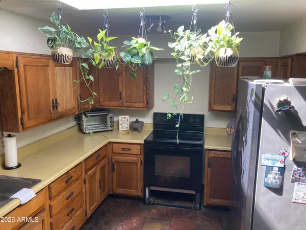 a kitchen with a sink refrigerator and a potted plant