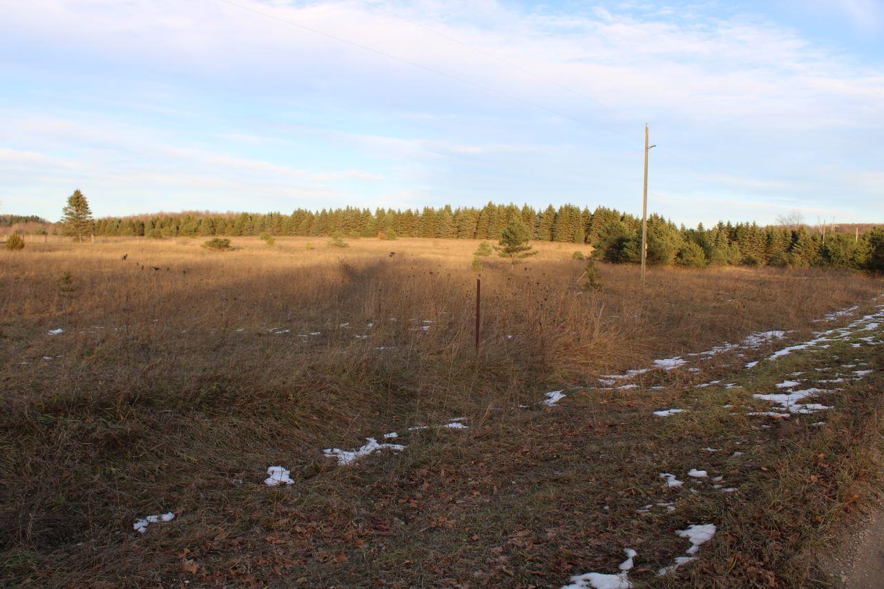 1 Read Road Copemish, MI 49625 - Photo 42 of 50