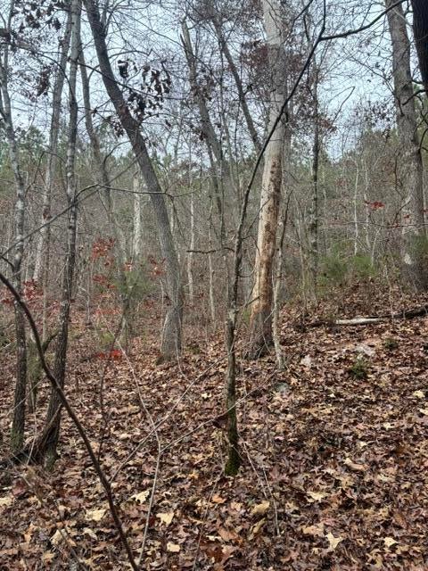 40-ac State Line Road Southeast Tremont, MS 38876 - Photo 9 of 15 Gallery Image 9