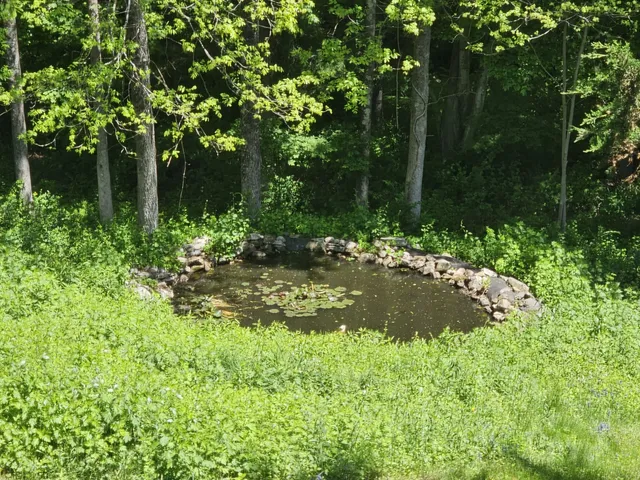 a view of outdoor space and yard
