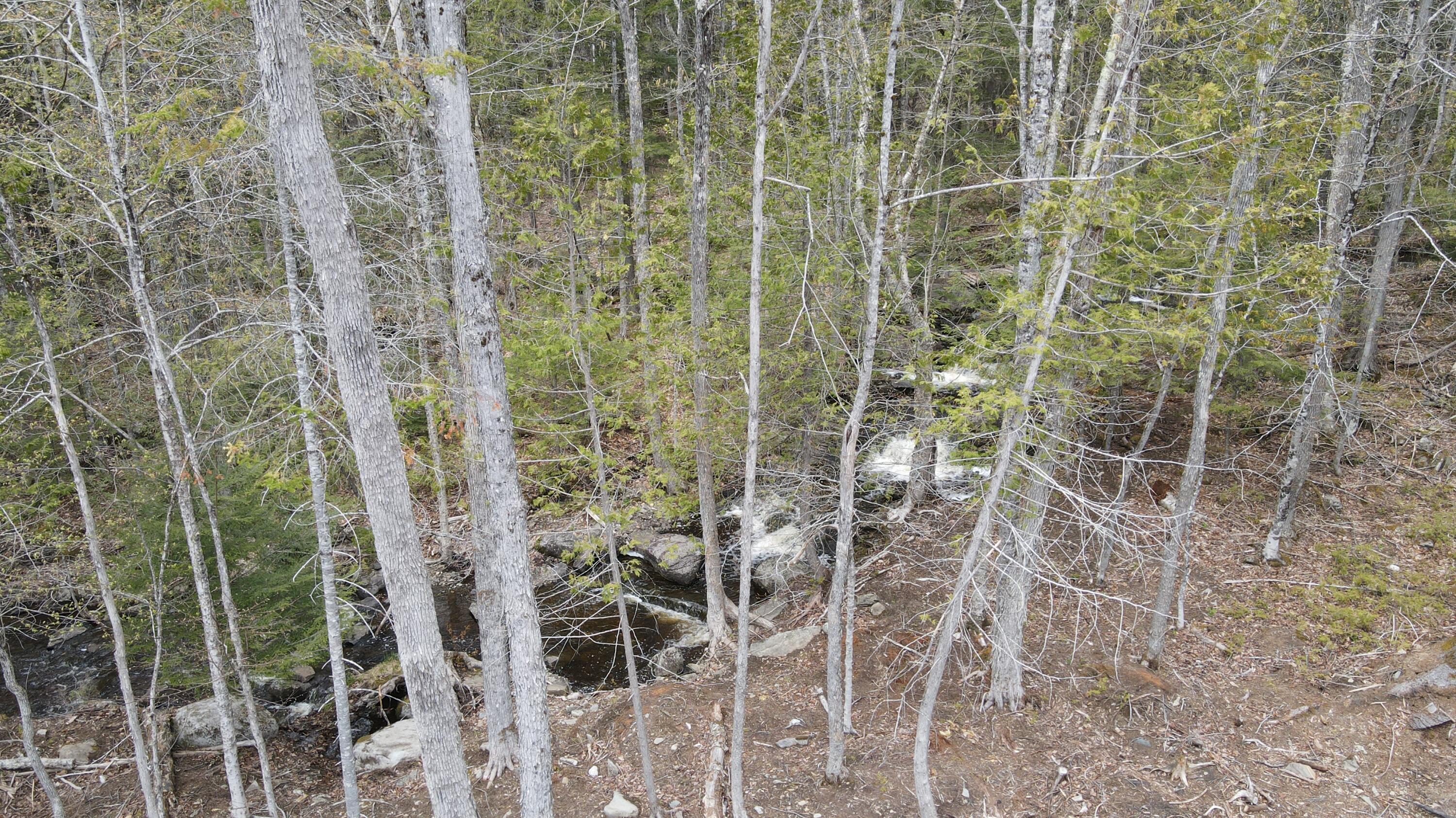 0 South Road Lincoln, ME 04457 - Photo 49 of 75 DJI_0168