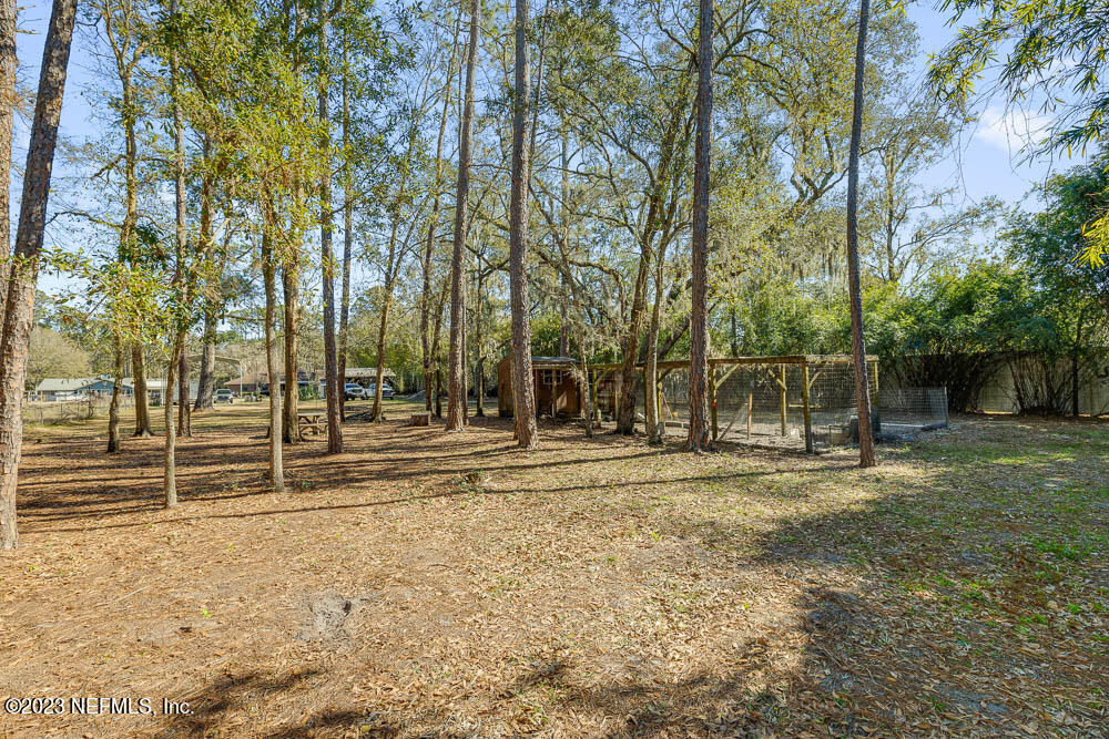 7028 Jammes Road Jacksonville, FL 32244 - Photo 41 of 44 Backyard from back fence