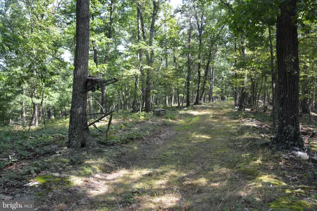 a view of outdoor space with lots of trees