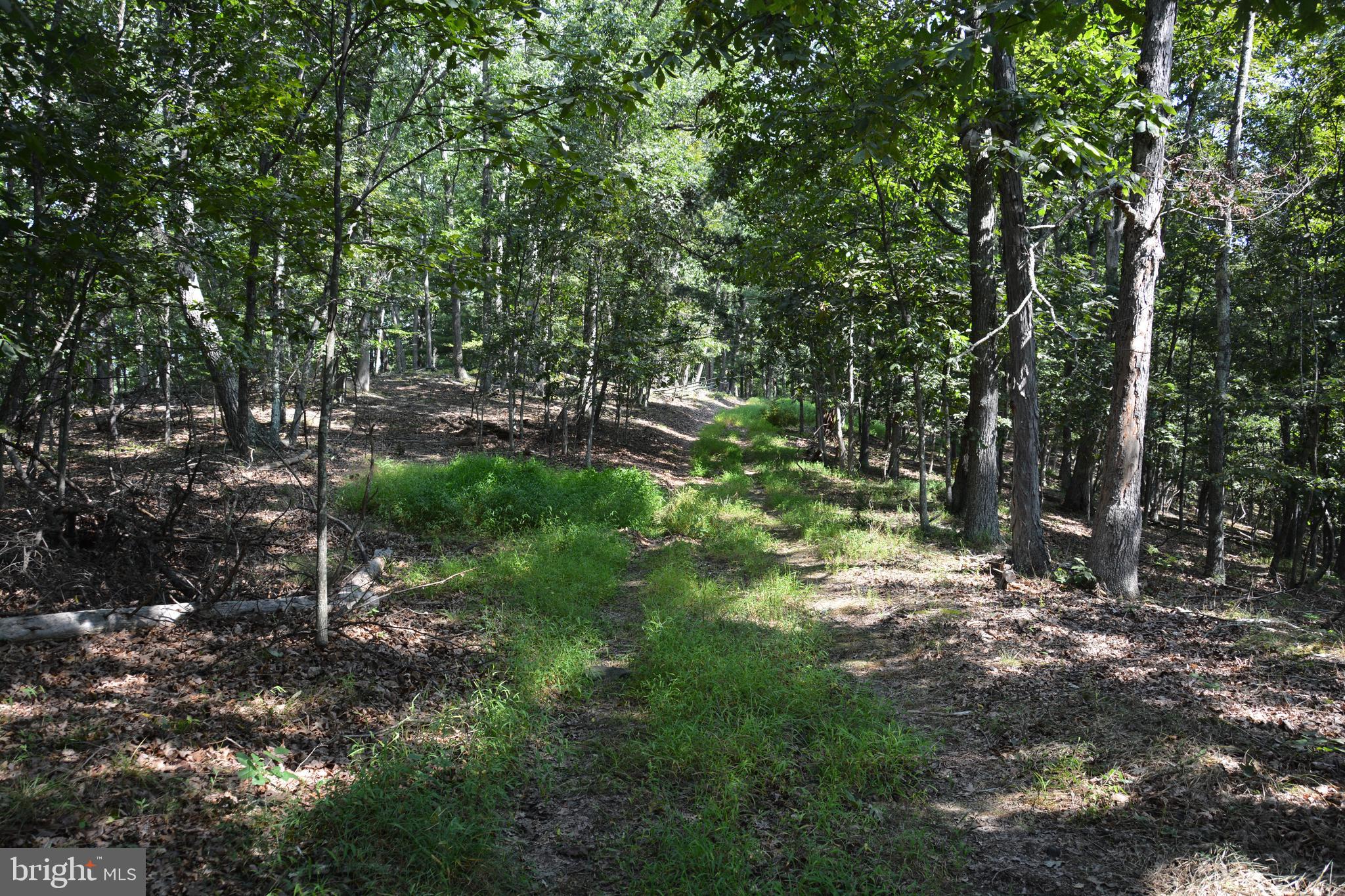 Brush Creek Road, Unit 30 Winchester, VA 22603 - Photo 11 of 39 a backyard of a house with lots of green space