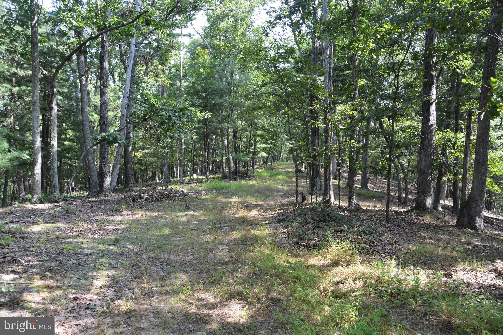 Brush Creek Road, Unit 30 Winchester, VA 22603 - Photo 19 of 39 a backyard of a house with lots of green space